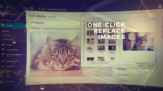 Jixxio Media Management - Enhance your wordpress experience смотреть онлайн