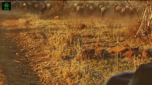 ALL IS ONE The Beautiful Game смотреть онлайн