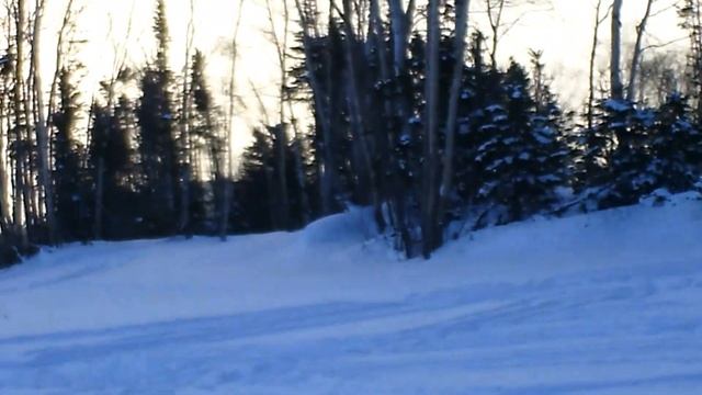 2006 arctic cat panther bad driver!!! смотреть онлайн