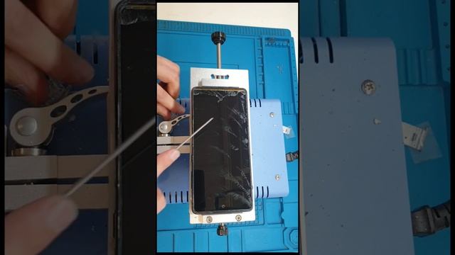 Samsung Galaxy S20 FE | Замена стекла | Glass Replacement 2022 смотреть онлайн