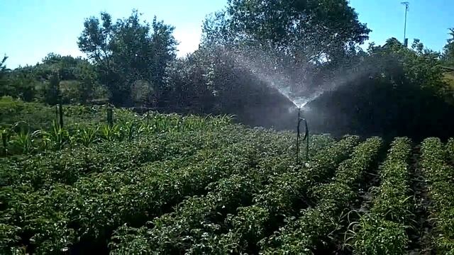 Поливалка для огорода