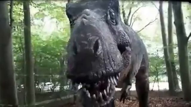 Aalborg Zoo смотреть онлайн