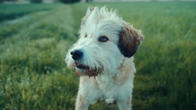 Sony FX3 Cinema Line / Tamron 28 - 75 / 120fps test смотреть онлайн