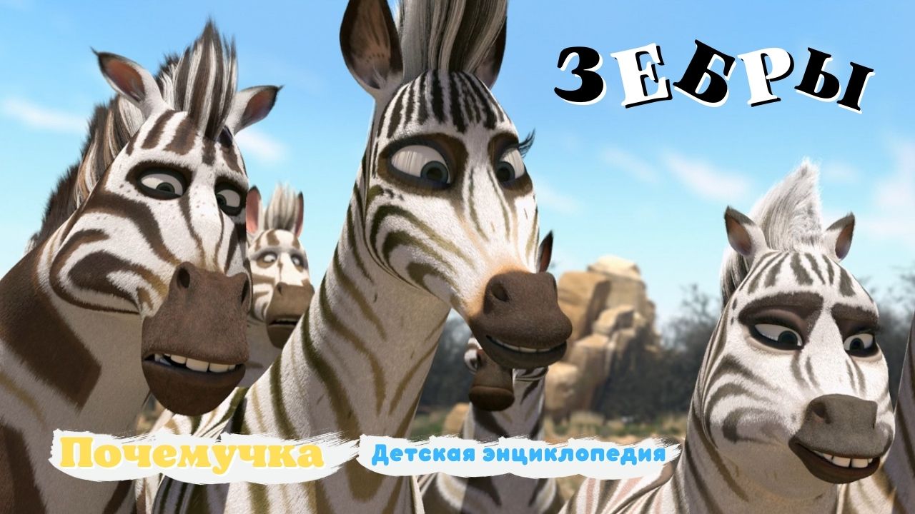 20 интересных фактов о зебрах. Почемучка. Детская энциклопедия. смотреть онлайн