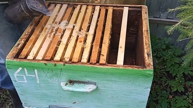 Погожим осенним днём на пасеке. смотреть онлайн