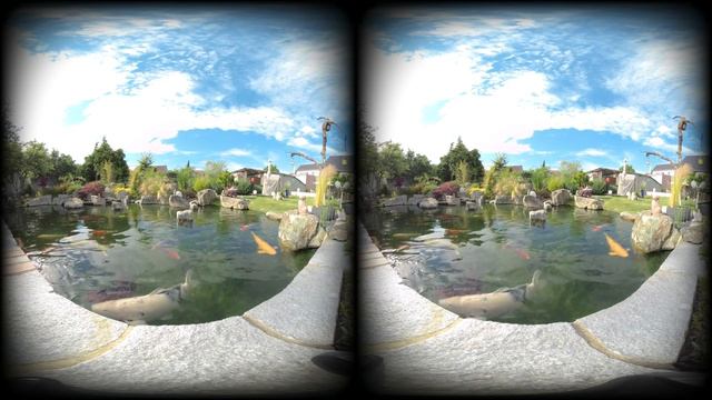 Vuze XR - 180° VR - Garden View - V2 - 5K смотреть онлайн