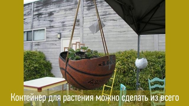 Оригинальные клумбы для дачи смотреть онлайн