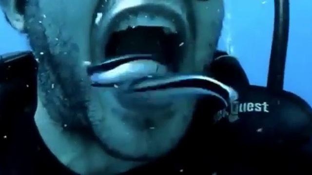 под водная гигиена смотреть онлайн