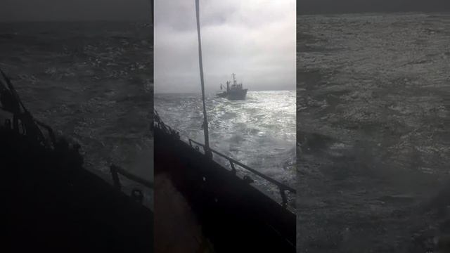 мрс 150 042 2020г смотреть онлайн