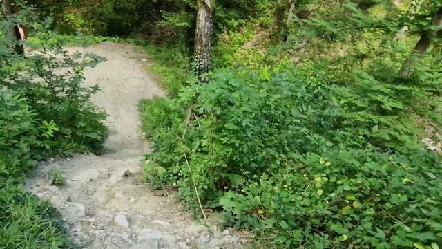 Скала Киселева, нереально красивое место, июль 2023#туапсинскийрайон #краснодарскийкрай #черноеморе смотреть онлайн