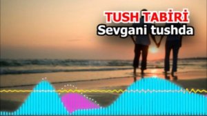 СЕВГАНИНИ ТУШДА КЎРСА -  Sevgani tushda tush tabiri