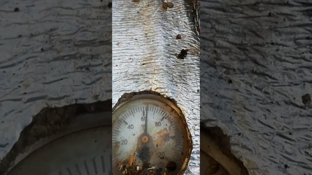 Запись №2.тест работы котла на шелухе гречихи. смотреть онлайн