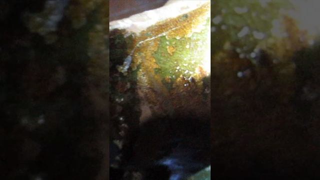 ПОСЛЕДСТВИЯ.вода в редукторе ПЛМ.#shorts смотреть онлайн