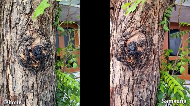 Samsung Galaxy S21 Vs iPhone 11 Camera Test & Comparison | Which is The Best..? смотреть онлайн