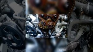 Suzuri Grand Vitara Замена ГРМ