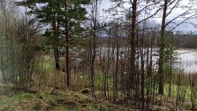 Великие Луки, Себежский район, Пустошка, Курганы, Идрица, Чай с Боярским, Плотина бобра, Оленья гор смотреть онлайн
