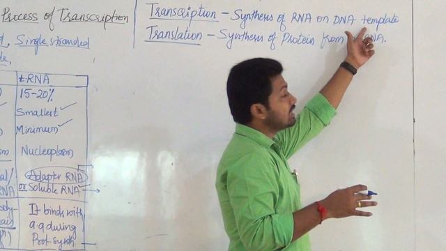 PU-II MOLECULAR BASIS OF INHERITANCE BY ANAND PATIL SIR DAY-13 смотреть онлайн