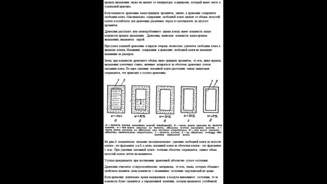 Конвективная сушка древесины Ч1 Строение древесины и влага в её составе. смотреть онлайн