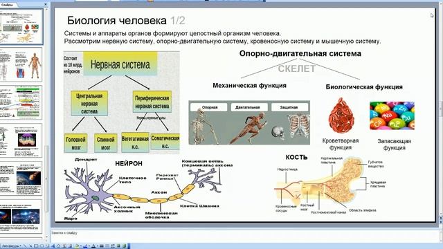 Мой доклад по Социологии (I курс) смотреть онлайн