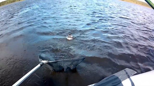 Ловим ЩУКУ на Андрюшинском водохранилище! смотреть онлайн