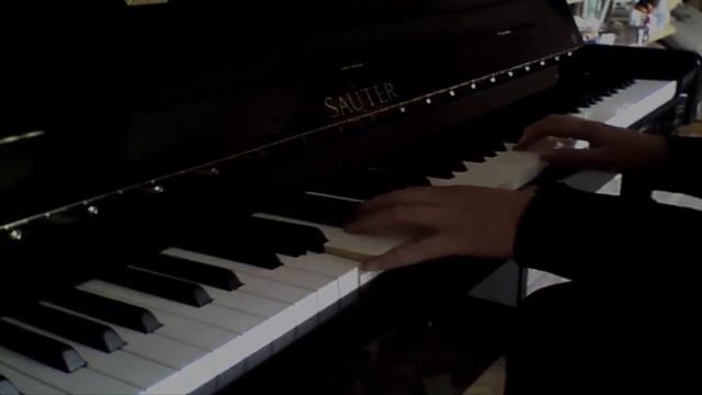 Ohne Dich // Rammstein // Piano Cover смотреть онлайн
