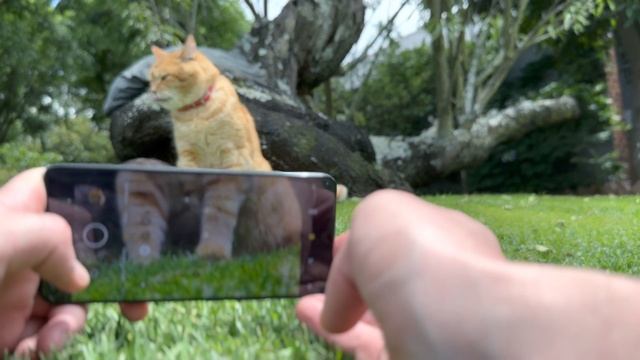 Xiaomi 12T Pro Review - 200MP Camera Goodness смотреть онлайн