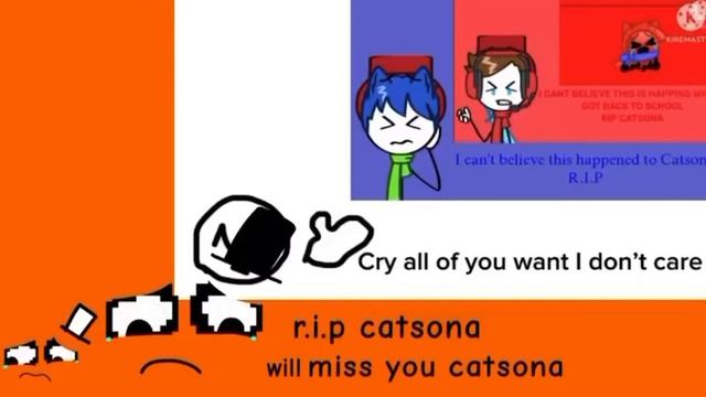 #prayforcatsonachain смотреть онлайн