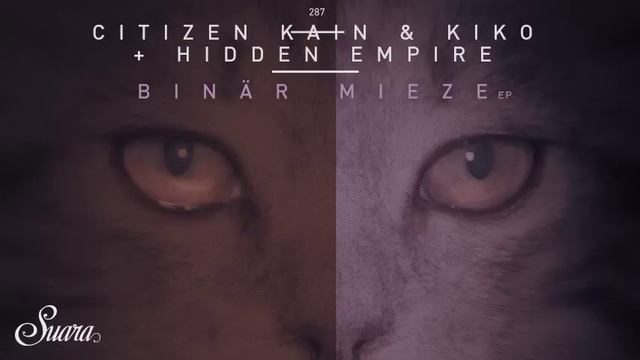 Hidden Empire - Rebelution (Original Mix) [Suara] смотреть онлайн