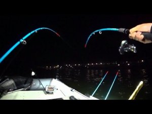 СЛАБОНЕРВНЫМ НЕ СМОТРЕТЬ !!! КОРЯГИ ОЖИВАЮТ И ТЯНУТ ЗА СОБОЙ !!! РЫБАЛКА НА СОМА И САЗАНА