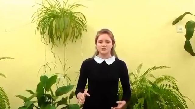 Сластников Николай Павлович «Теперь, когда прошли сомненья...» смотреть онлайн