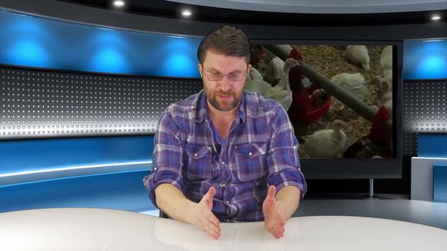 ИНДЮКИ: СОДЕРЖАНИЕ И ВЫРАЩИВАНИЕ от инкубации до взрослого. Делимся опытом по индюшке! смотреть онлайн