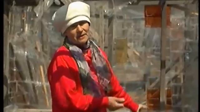 Сахалинка соорудила теплицу из пластиковых бутылок смотреть онлайн