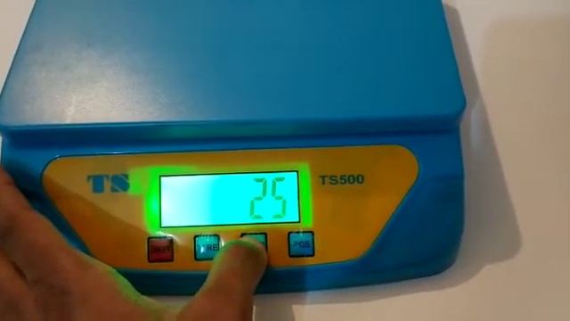 BEST ELECTRONIC WEIGHT SCALE EVER !! TS500 Digital 25 Kg Digital Weight Machine