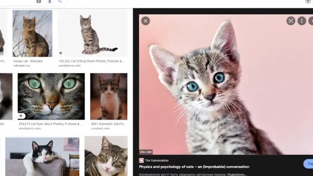 Как навсегда отключить Google Lens / How to disable Google Lens permanently смотреть онлайн