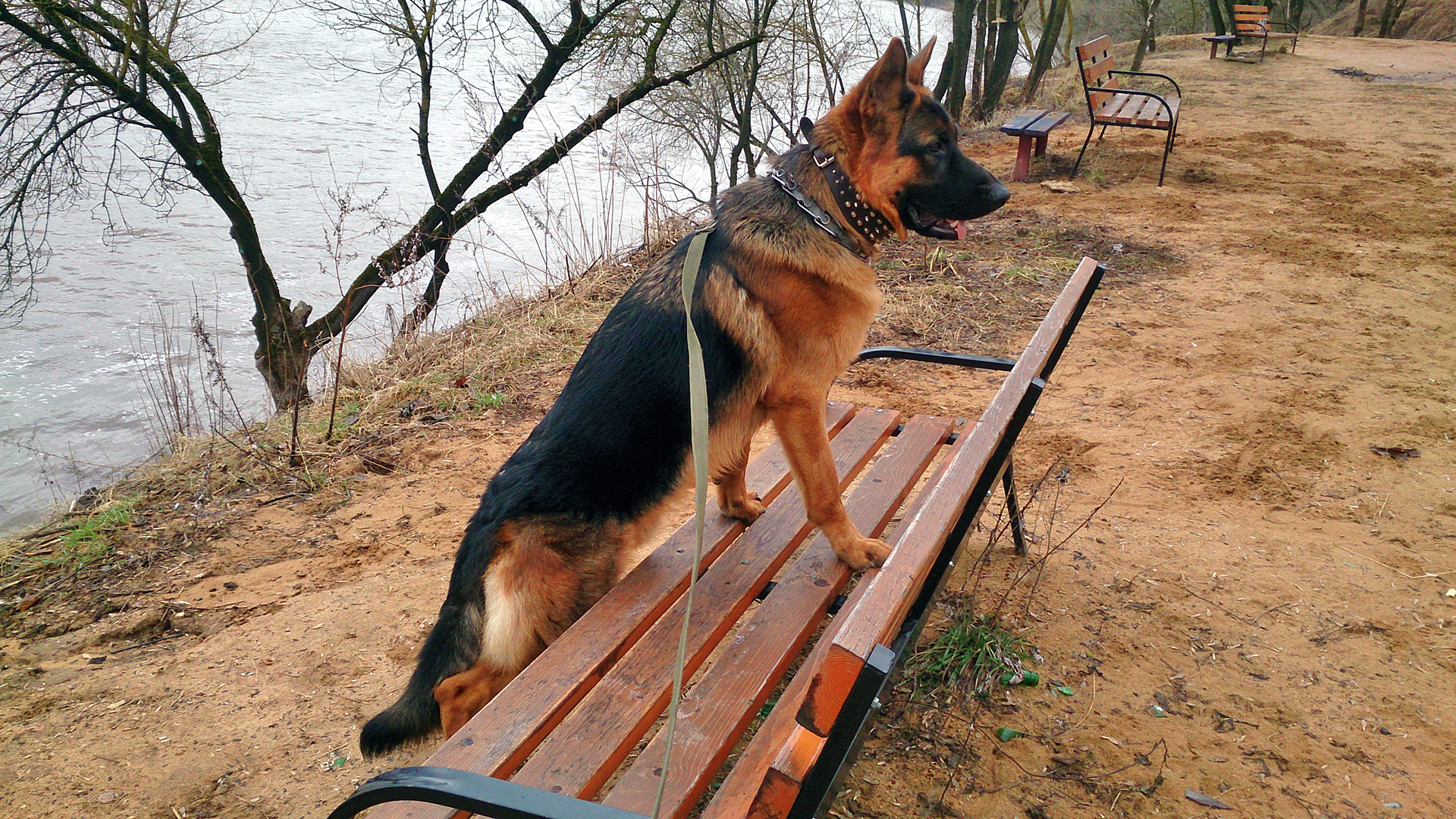 ЖОЙСЕН ЛАВ (БАРС) ИЮЛЬ - ДЕКАБРЬ 2021 г.