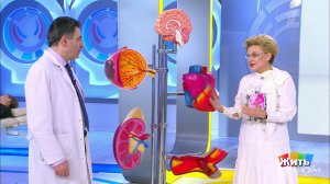 Жить здорово! Выпуск от 03.11.2020