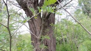 Как телепортироваться в реальной жизни