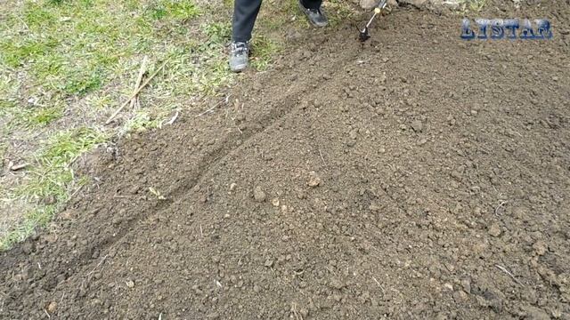 Выращивание семян в домашних условиях