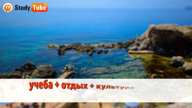 Отзыв о школе IELS | Все об обучении на Мальте смотреть онлайн