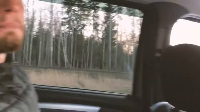 VLOG #2: ЛЕНИВОЕ ВОСКРЕСНОЕ УТРО - СОСНОВЫЙ БОР - ВЛОГ С ЗАДНЕГО СИДЕНИЯ смотреть онлайн