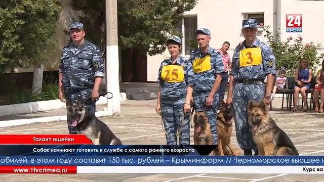 На базе УФСИН проведены межведомственные соревнования среди кинологов ( 20.06.2016 ТРК "Крым") смотреть онлайн
