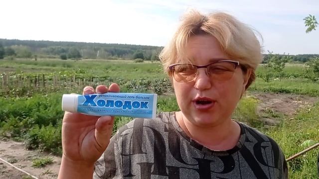 Любимые коровки и огород #Вашехозяйство #защитаотнасекомых #Холодок смотреть онлайн