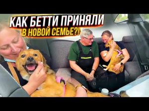 От Бетти отказались уже на въезде в Европу, но нашлась другая любящая семья в Германии