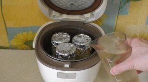 Выращивание триходермы на перловке. Стерилизация крупы. Биопрепараты своими руками