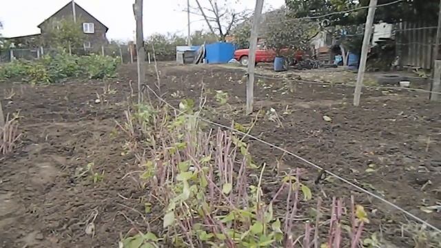 ПОДГОТОВКА МАЛИНЫ К ЗИМОВКЕ || #малина_осеню #обработка_подкормка_малины #осенняя_подкормка_малины смотреть онлайн