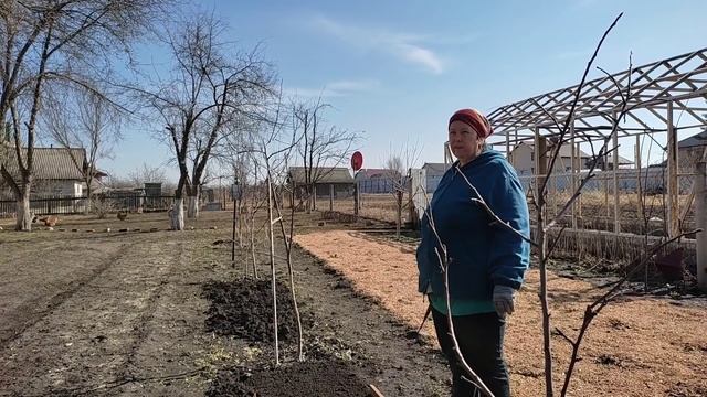 Открываем огородный сезон. Первые посадки. Подготовка брудера к заселению. смотреть онлайн