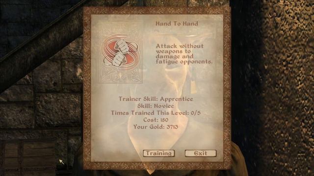 Oblivion but an Imperial Guard slaughters 2 battlemages in front of me смотреть онлайн