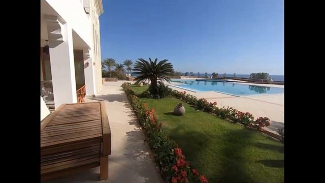 Обзор Отеля Reef Oasis Beach Resort 5* смотреть онлайн