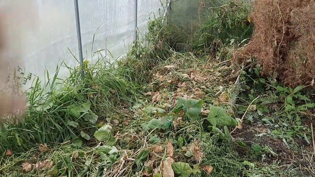 Муж косит бурьяны. Погода не даёт работать на улице смотреть онлайн