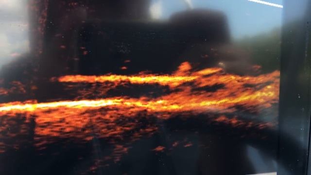 Panoptix LiveScope: обзор «всевидящего» эхолота от Garmin смотреть онлайн